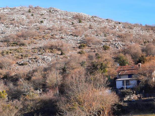 Sentieri della Costa Azzurra Le Broc (Foto) TravelEat