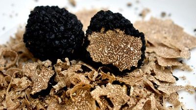 L’aria odora di tartufo a Saint Paul de Vence