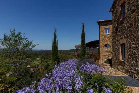 L’azienda del Gruppo Frescobaldi lancia sui mercati internazionali il Lux Vitis 2020 : equilibrio di potenza ed eleganza