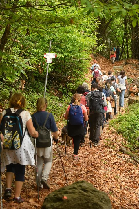 Domenica 12 maggio 2024: Girolago, una camminata guidata sul Lago d’Orta dedicata ad acqua e musica