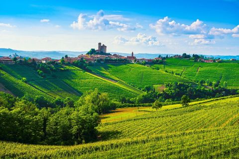 L'ONAV celebra Alto Piemonte e Gran Monferrato Città del Vino 2024