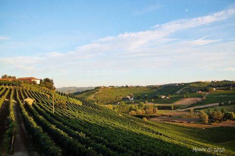 Asti: ottobre con tantissimi eventi. Ecco le nostre proposte