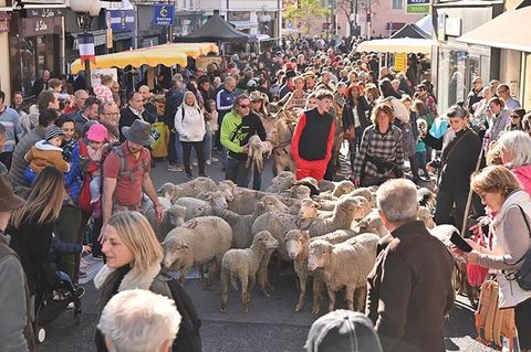 Cagnes sur Mer: domani l’appuntamento con la Fête de la Châtaigne (Foto)
