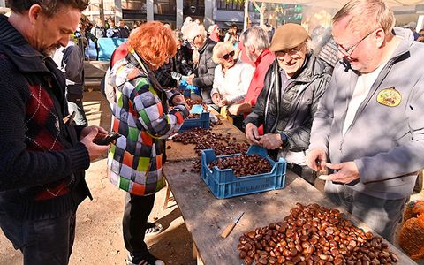Cagnes si prepara alla Fête de la Châtaigne (Foto)