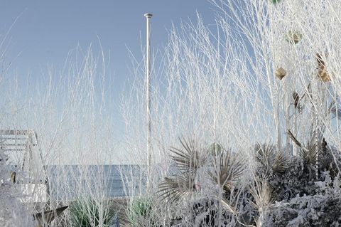 Angoli di Cannes, aspettando Natale (Foto)
