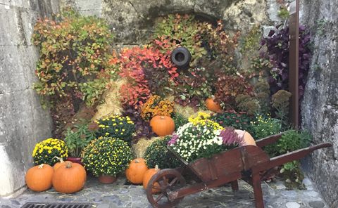 Saint Paul de Vence festeggia l'autunno