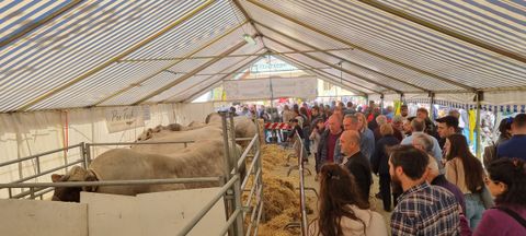 Domani al via Cavour Carne tra consumo consapevole e imprenditoria femminile
