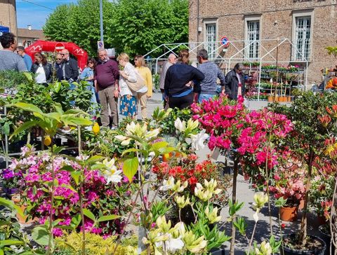 Vigone (TO): quest’anno anche la moda scende in piazza per Vigoflor