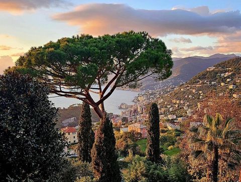 Non solo mare: cosa fare a Genova e dintorni a Ferragosto
