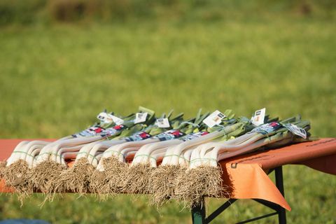 Presentata ufficialmente a Cervere la 44^ edizione della Fiera del Porro [FOTO E VIDEO]