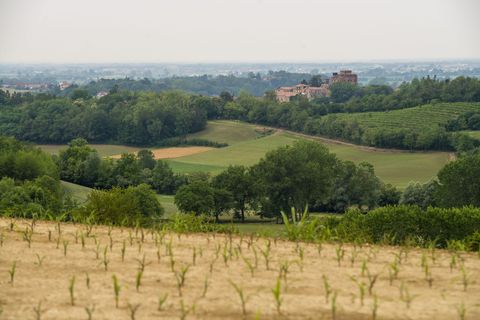 Arriva a Chieri il Festival del Paesaggio: 8 giorni e oltre 30 eventi legati alle peculiarità del territorio