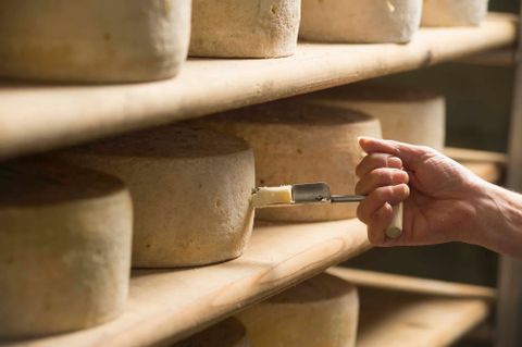 Nasce il progetto LoST EU: Looking for the Sustainability of Taste in Europe