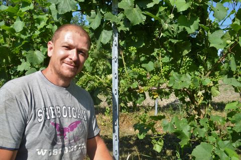 Dalle vigne di Casciago nasce il primo spumante rosé della provincia di Varese