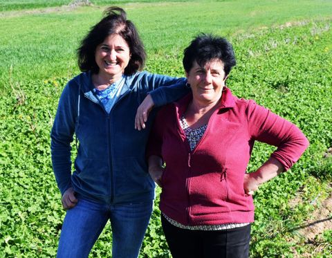 “RADICI – storie di terra” La fragola di Peveragno è un pezzo d’anima