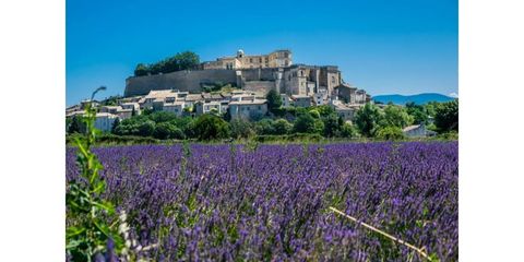 Grasse e la lavanda: una grande festa
