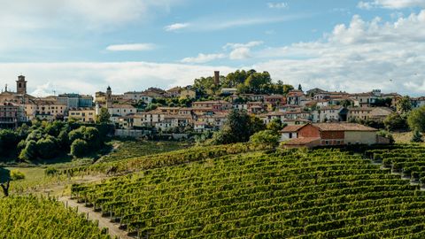 Castagnole delle Lanze (AT): dal 20 al 22 giugno il primo festival dedicato al tartufo nero