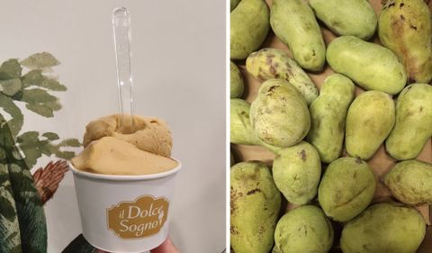 Varese: “Il Dolce Sogno” di Busto e Castellanza offre un gusto che prepara al meglio agli impegni dell’autunno, mettendo in fuga i malanni