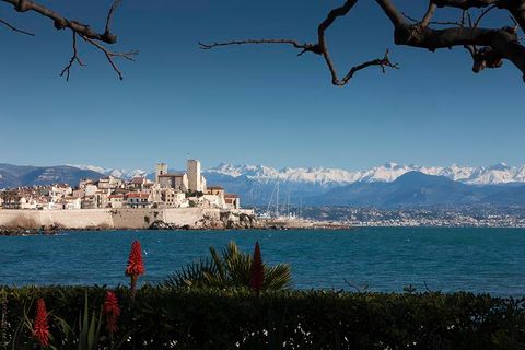 Antibes: le manifestazioni e le visite guidate del mese di gennaio (Foto)