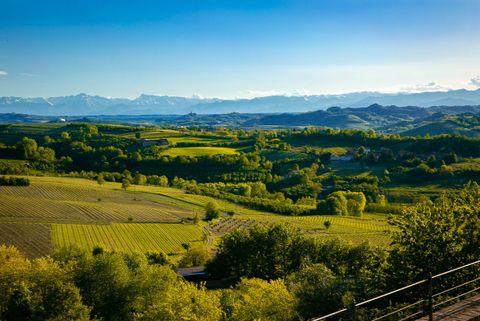 Piemonte da mangiare: Langhe del Barolo e del Tartufo