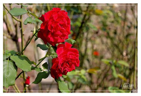 Asti: le nostre proposte per questo primo weekend di luglio