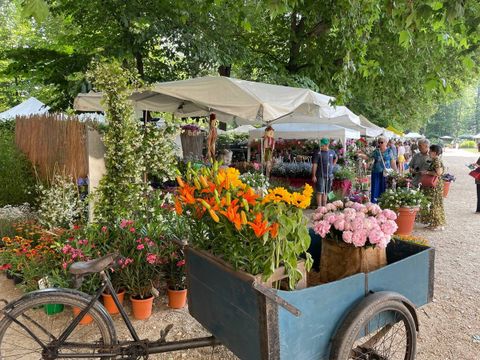 Flor accende la primavera ai Giardini Reali di Torino