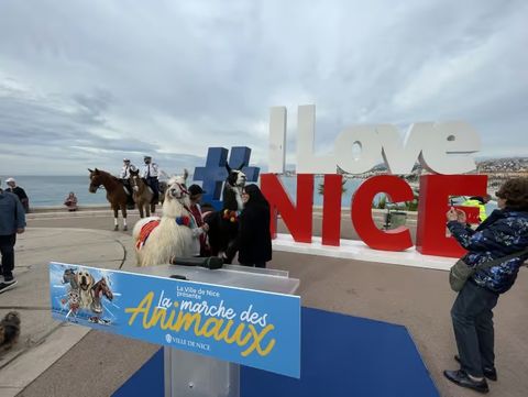 Cani, gatti, cavalli, pesci rossi, canarini, capre… una sfilata di animali sulla Promenade a Nizza