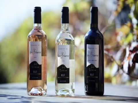 Ottantatré anni di AOC, il vino di Bellet s’impone come una delle eccellenze di Nizza (Foto)