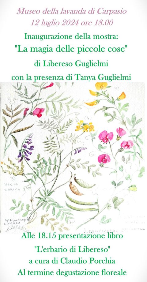 Carpasio "La magia delle piccole cose" di Libereso Guglielmi al Museo della lavanda di Carpasio dal 12 luglio al 31 agosto.
