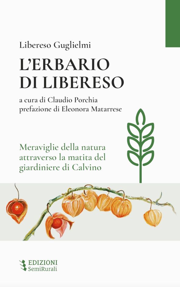 Carpasio &quot;La magia delle piccole cose&quot; di Libereso Guglielmi al Museo della lavanda di Carpasio dal 12 luglio al 31 agosto.