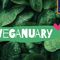 Veganuary 2026: da ALDI il gusto vegetale è un viaggio quotidiano