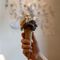 Da Romanengo il gelato profuma di fiori: rosa, agrumi e spezie per la nuova estate gourmet