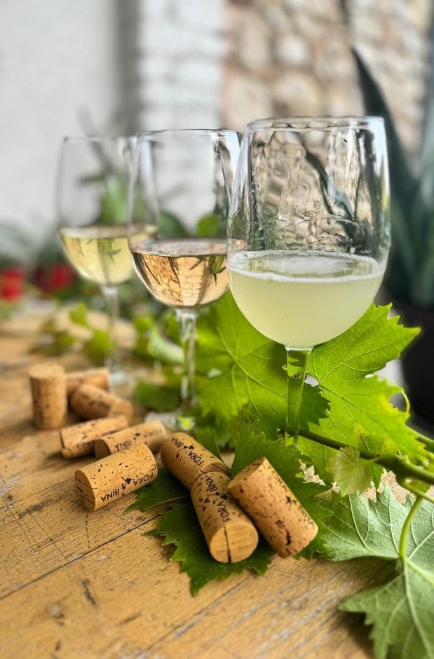 Un vento di novità fra i vigneti del Veronese: “Fora Bina”, il vino “fuori dai binari” rappresenta un modello di viticoltura responsabile e rispettosa dell’ambiente. Un vento di novità fra i vigneti del Veronese: “Fora Bina”, il vino “fuori dai binari” rappresenta un modello di viticoltura responsabile e rispettosa dell’ambiente.