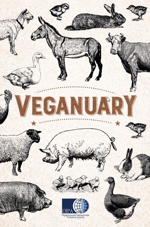 Veganuary 2026: un mese per scoprire l’alimentazione 100% vegetale