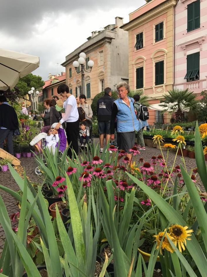 Celle Ligure (SV): il prossimo week end torna &quot;FIORI FRUTTA QUALITÀ&quot;
