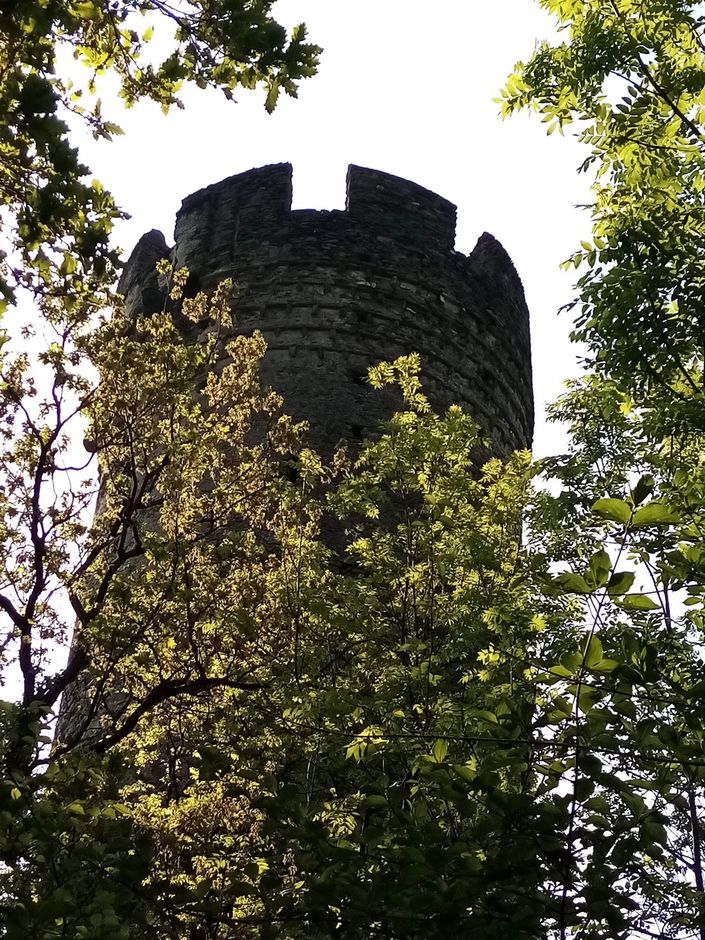 Le &quot;Sentinelle&quot; silenziose che difendono la Valle di Susa e le sue bellezze
