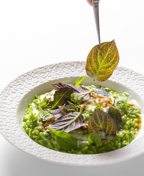 Il Ristorante Nove di Villa della Pergola presenta il nuovo menu vegetariano “Naturalia” in occasione della fioritura degli Agapanti dei Giardini Il Ristorante Nove di Villa della Pergola presenta il nuovo menu vegetariano “Naturalia” in occasione della fioritura degli Agapanti dei Giardini