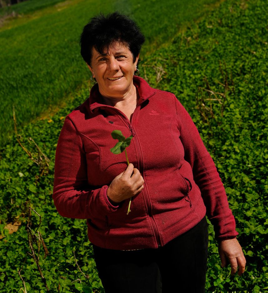 “RADICI – storie di terra” a Peveragno il nuovo volto della sostenibilità