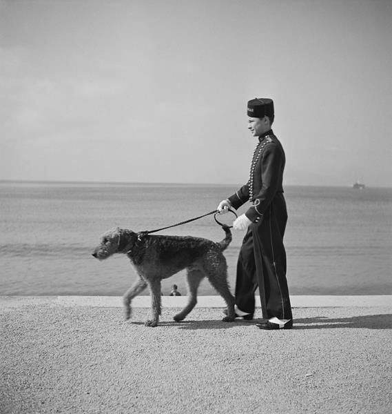 Cannes: fino all'8 giugno “Sole, azzurro ed eleganza: i Séeberger celebrano Cannes”, la mostra che racconta gli anni ’30  (Foto)
