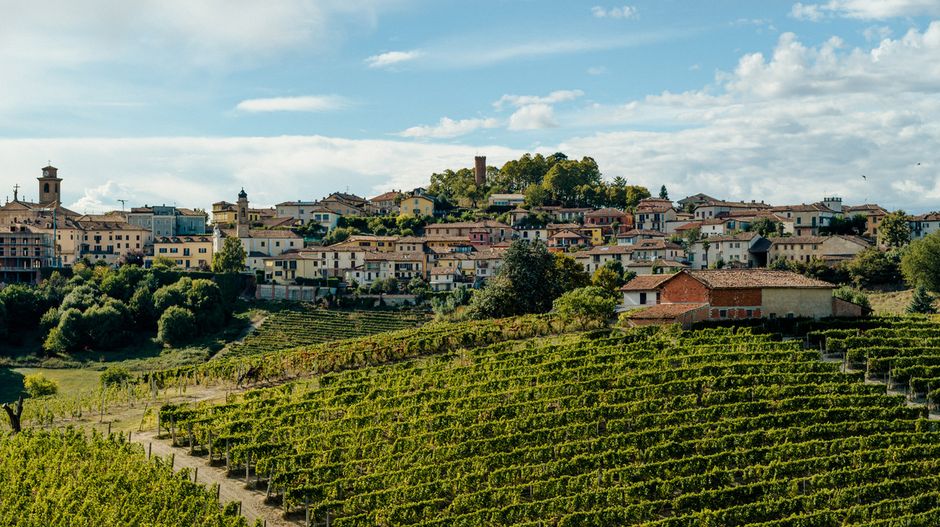 Castagnole delle Lanze (AT): dal 20 al 22 giugno il primo festival dedicato al tartufo nero Castagnole delle Lanze (AT): dal 20 al 22 giugno il primo festival dedicato al tartufo nero