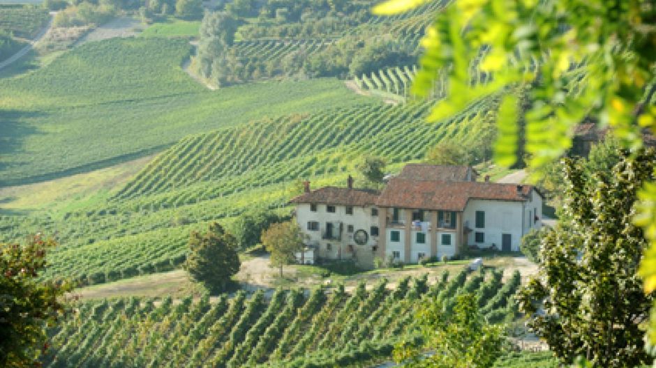 Venerdì 15 gennaio assemblea annuale dei  Paesaggi Vitivinicoli Unesco