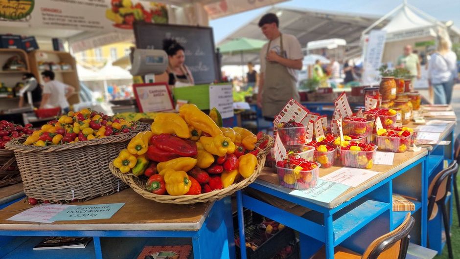 Tutto pronto per la nuova edizione della Fiera del Peperone di Carmagnola
