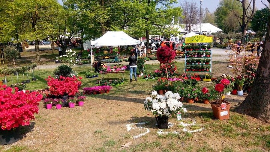 Ortoflora & natura a Carmagnola Ortoflora & natura a Carmagnola