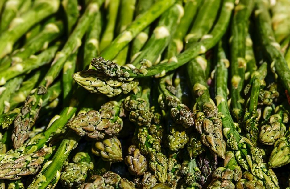 Busto Arsizio (VA): gli asparagi, un tesoro per il palato e la salute