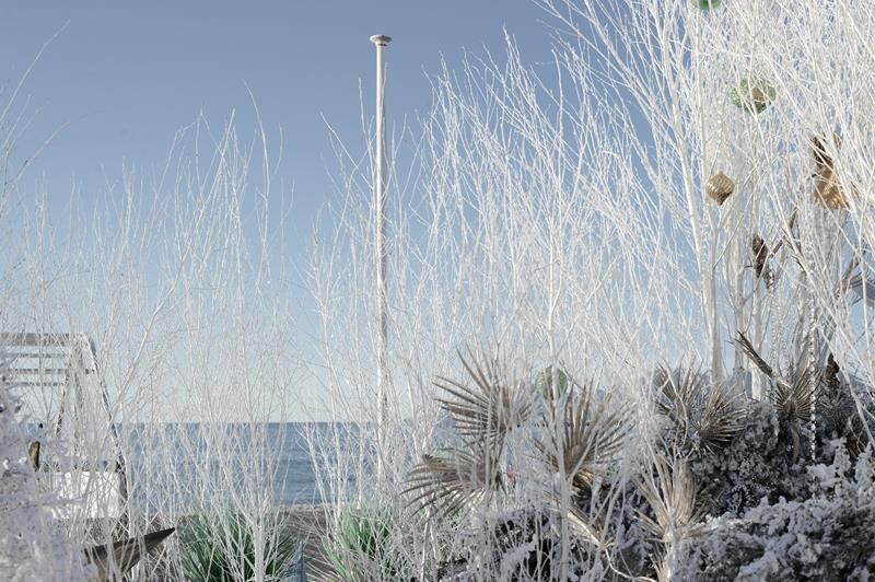 Angoli di Cannes, aspettando Natale (Foto) Angoli di Cannes, aspettando Natale (Foto)