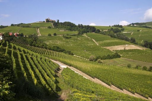 Nelle Langhe Monferrato e Roero Il turismo diventa sempre più "Locals" Nelle Langhe Monferrato e Roero Il turismo diventa sempre più "Locals"