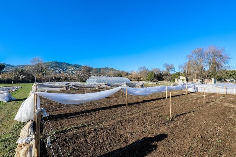 Cannes: nasce una scuola di orticoltura biologica su piccoli spazi (Foto)