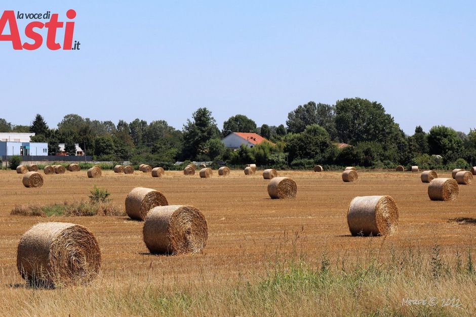 Primo weekend di agosto all'insegna degli eventi nell'Astigiano