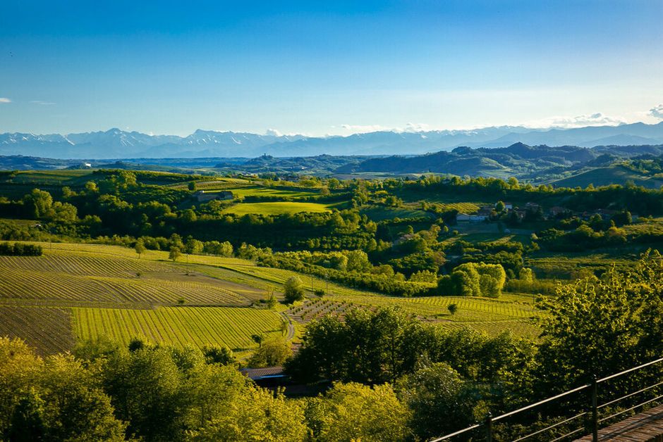 Piemonte, qualità riconosciuta ma ancora poco desiderata Piemonte, qualità riconosciuta ma ancora poco desiderata
