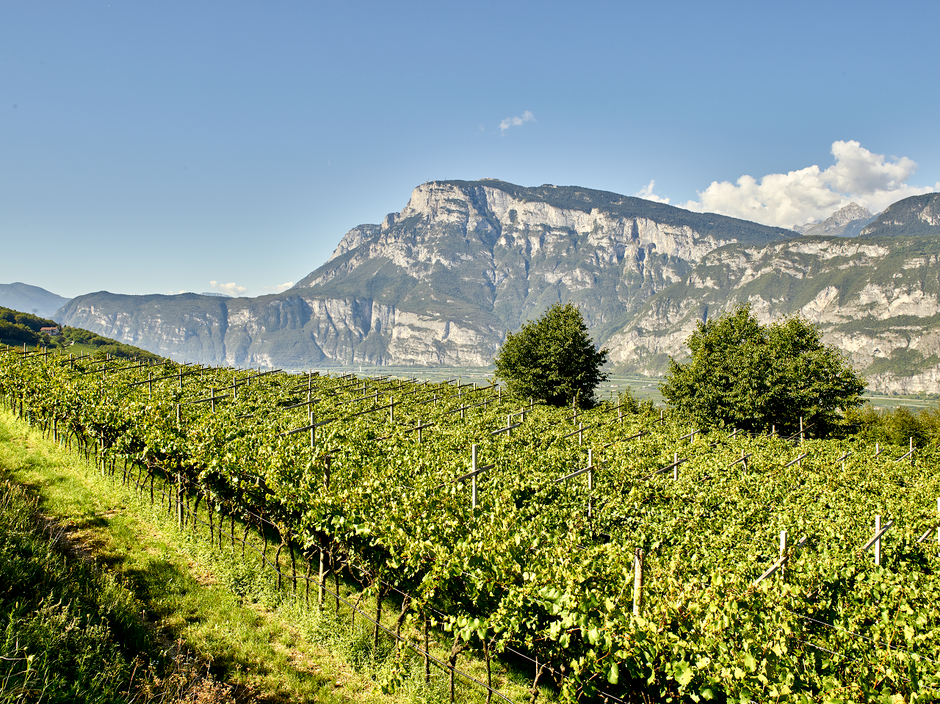 Cesarini Sforza: nobili bollicine con un passato aristocratico