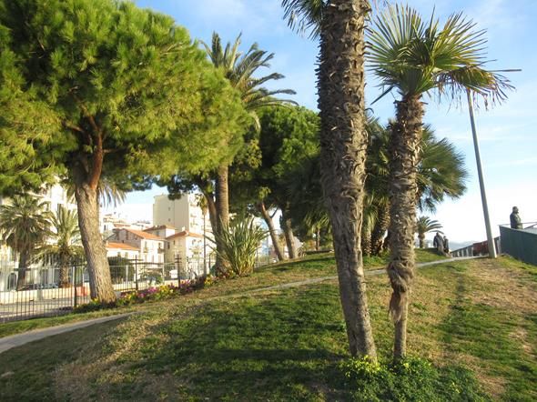 Nizza: la bellezza dell'alba al porticciolo e giardino di Carras (foto)